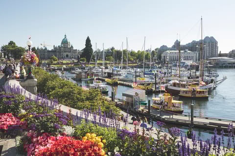 Victoria: 2.5-hour Tips-Based City Walking Tour