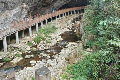 National Forest Park, Tianmen Mountain & Glass Bridge Ticket National Forest Park Ticket + 3 Cableways & 1 Elevator