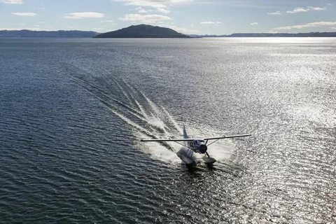 Rotorua: Voo de hidroavião com pouso em Orakei Korako