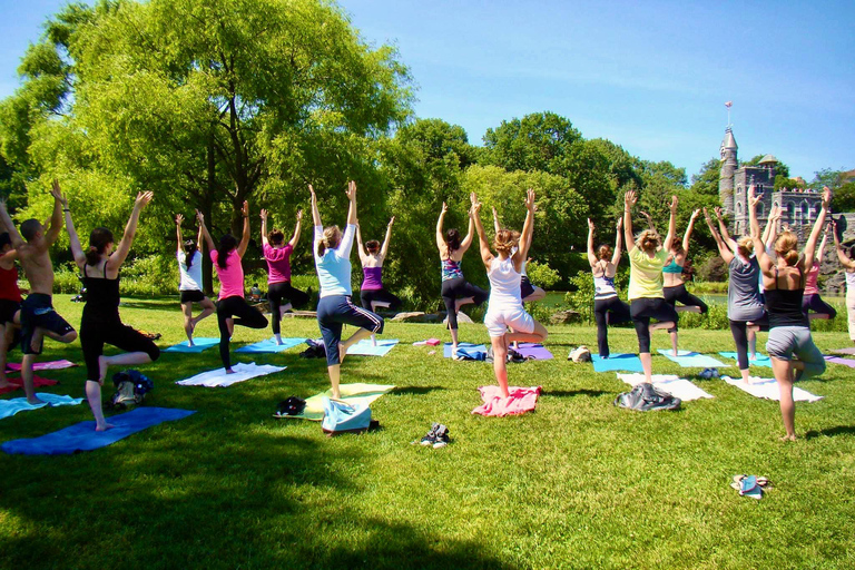 Central Park: Der bestbewertete Yoga-Kurs in New York City!