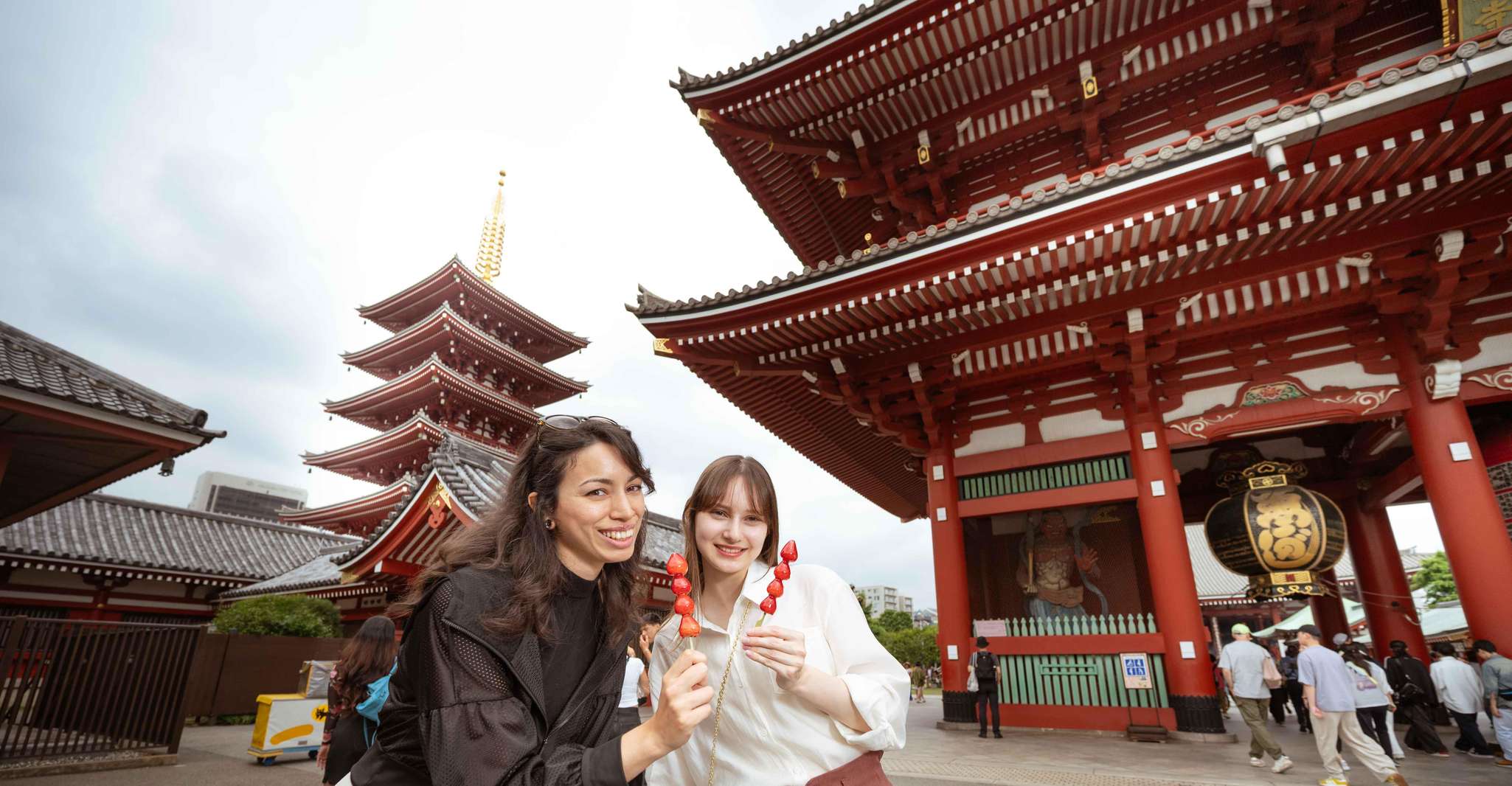 Tokyo: A Half-Day Trip Bus Tour in the Morning