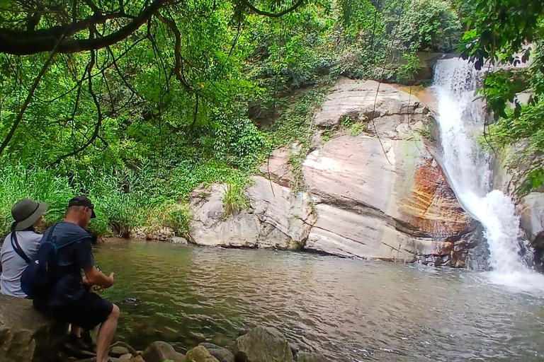 ELLA Lipton Seat Tea Test & Pluck 9Arch, Waterfalls, & Food Lipton's Seat, Little Adam Peak, 9 Arch, Ravana Waterfalls