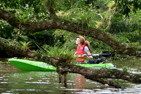 Tortuguero : Trois jours et deux nuits tout compris à TortugueroTortuguero : Deux nuits Prise en charge à SJ - Aller-retour 3 jours