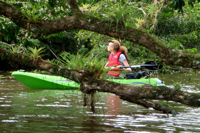 Tortuguero : Trois jours et deux nuits tout compris à TortugueroTortuguero : Deux nuits Prise en charge à SJ - Aller-retour 3 jours