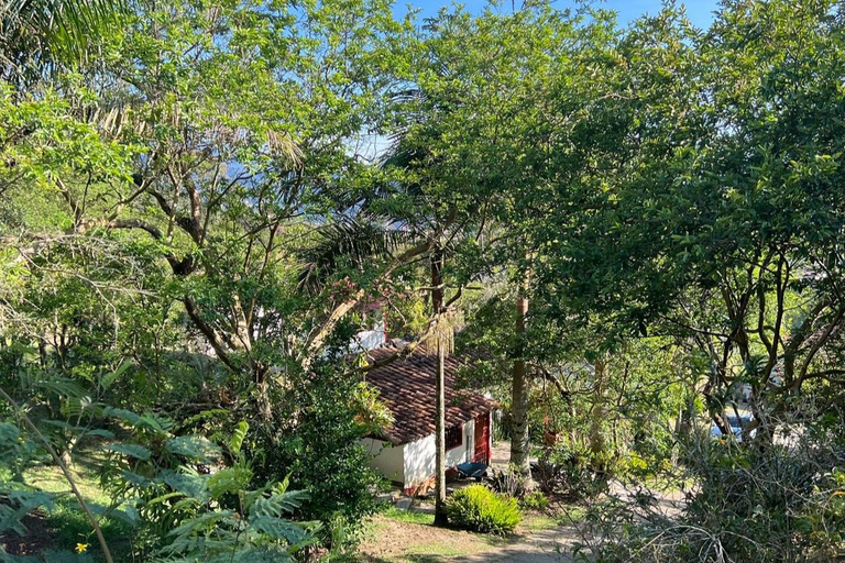 Medellín : Tournée des cafés dans les montagnes