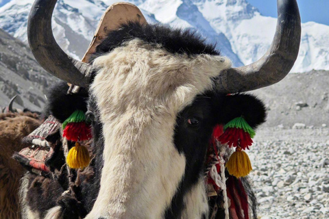 Everest Base Camp Trek 14 or 11 days All inclusive From Lukla to Lukla EBC Trek