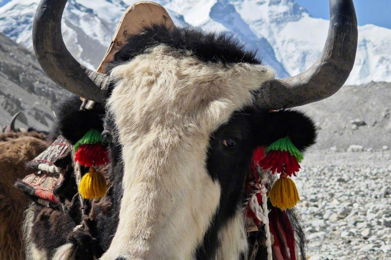Everest Base Camp Trek 14 or 11 days All inclusive From Lukla to Lukla EBC Trek