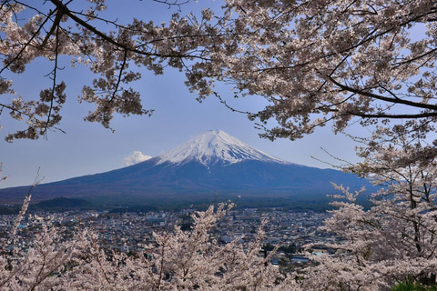 Da Tokyo: Monte Fuji Tour di un giorno personalizzato privatoTour privato del Monte Fuji completo e personalizzato con servizio di prelievo in hotel