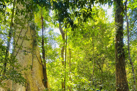 Tour di 2 giorni da Dalat al parco nazionale di Cat Tien, rientro a Saigon