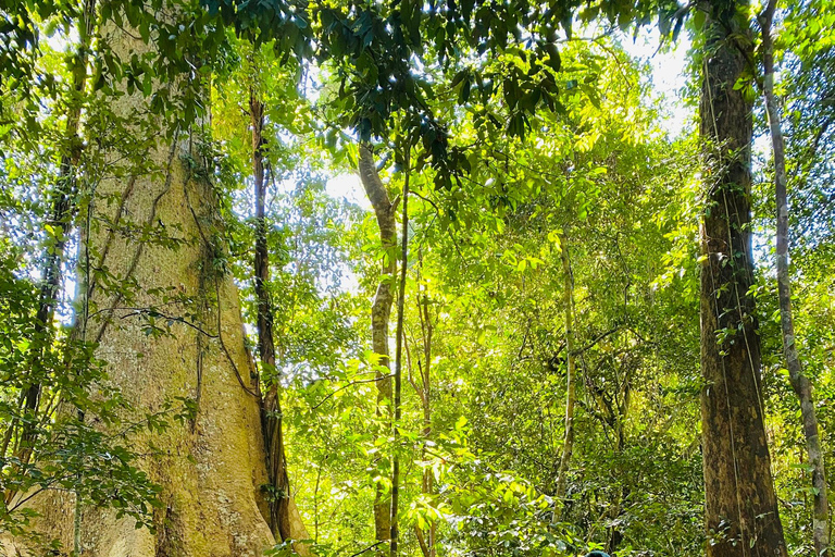 2 dagars tur Dalat till Cat Tien nationalpark, avlämning Saigon