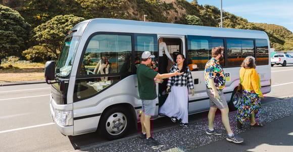 Wellington: Geführte Stadttour mit Ticket für die Seilbahn