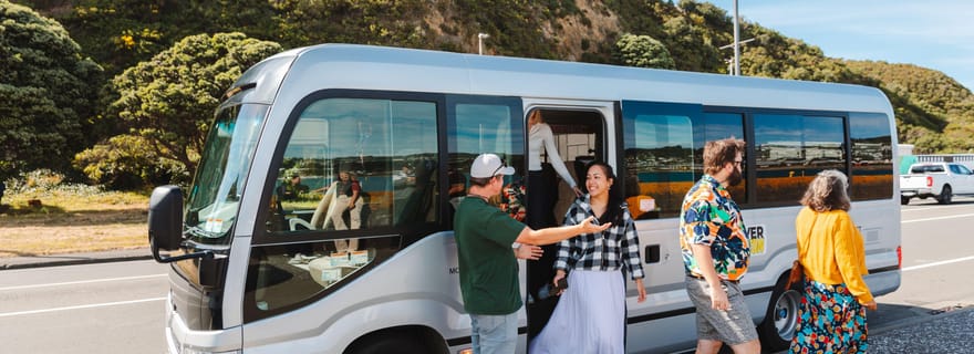 Wellington : visite guidée de la ville avec billet pour le téléphérique