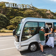 Wellington: Guided City Tour with Cable Car Ticket