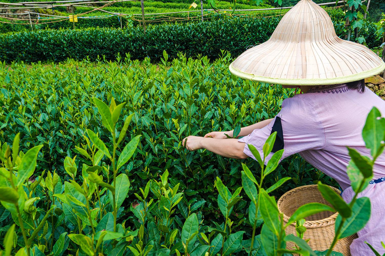 Hangzhou: Private City Highlights Tour with Boat Ride