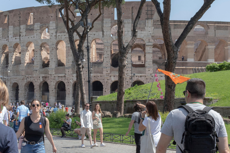 Rome : Visite guidée du Colisée, du Forum romain et de la colline Palatine