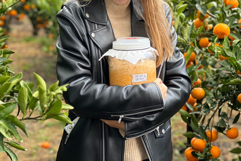 Jeju: Tangerine Makgeolli Brewing Class with Tasting