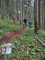 E- Bike Tour - 4 Lakes - Housity