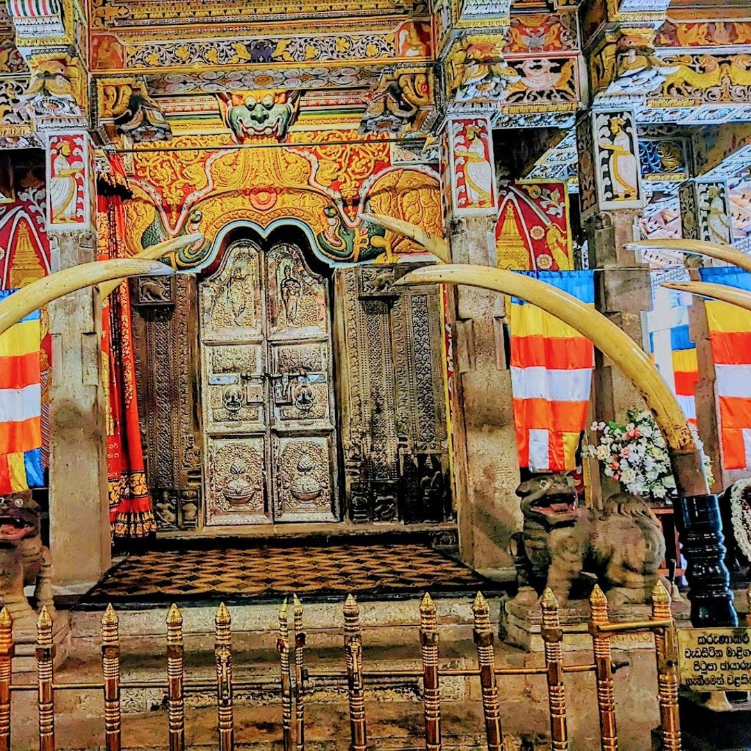 Galerie média