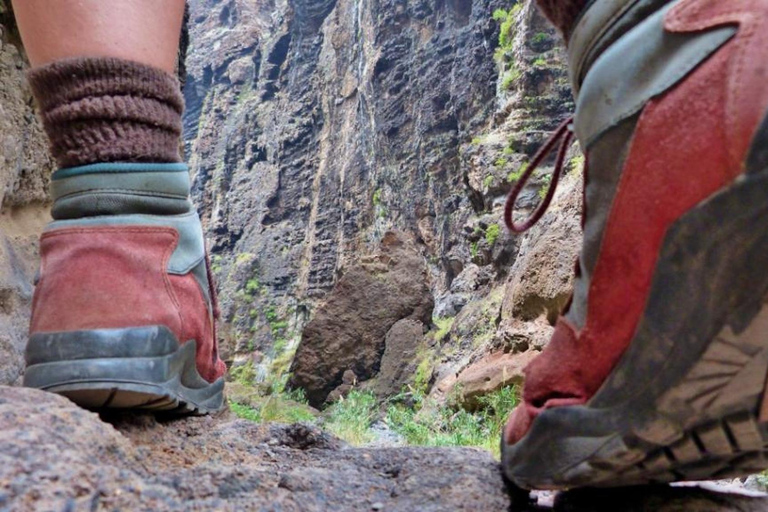 Tenerife : Barranco de Masca: Descida e passeio de barco