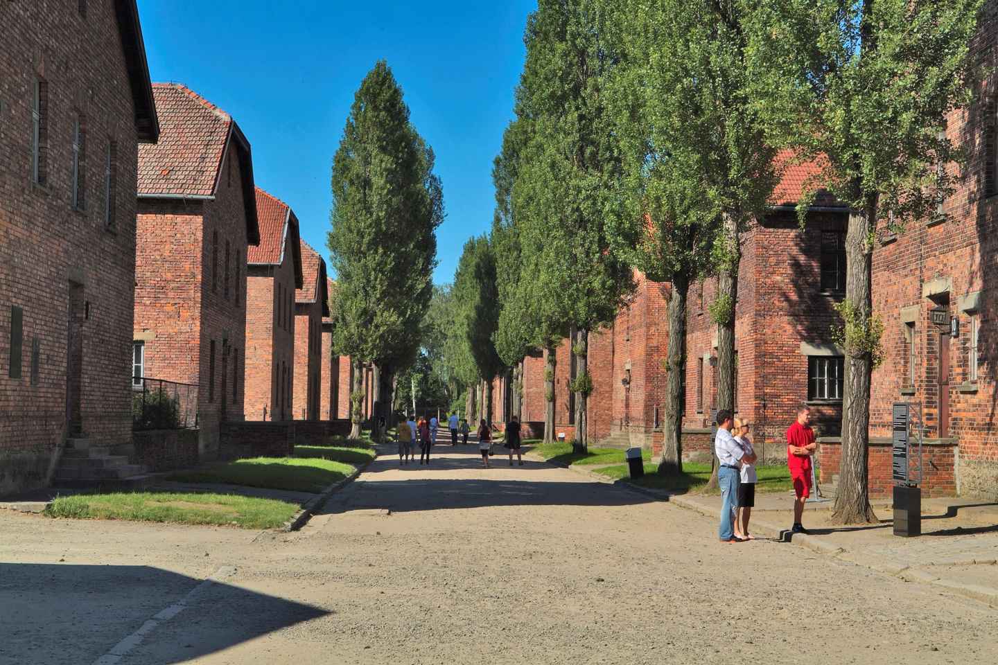 From Krakow: Auschwitz-Birkenau Tour