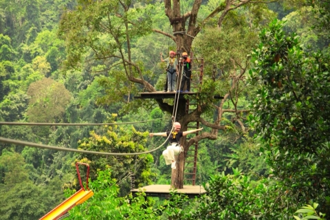Chiang Mai : Pongyang Jungle Coaster & ZiplineForfait A avec transfert