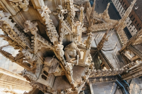 Milaan: Toegangsticket voor de kathedraal en de terrassen van de DuomoKathedraal & Terrassen met trappen