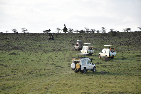 Experiencia de 4 días en la Reserva Natural Masai Mara