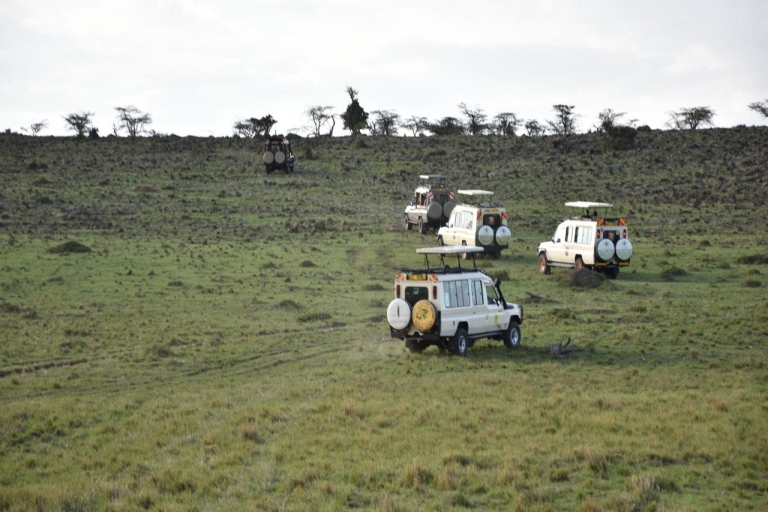 4-daagse ervaring in het wilde Masai Mara Conservancy