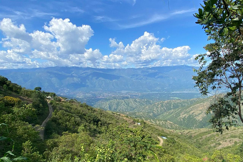 Medellín: tour coloniale di un'intera giornata con guidaMedellin: tour coloniale di un'intera giornata con guida