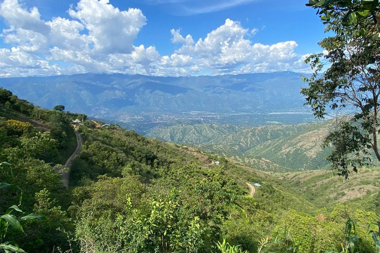 Medellín: tour coloniale di un'intera giornata con guidaMedellin: tour coloniale di un'intera giornata con guida