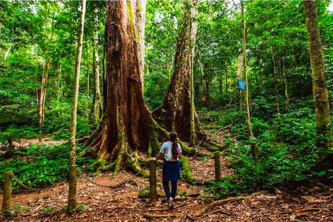 Cuc Phuong nationalpark Van Long-reservatet Privat dagsutflykt