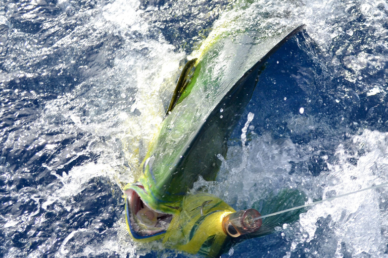 Mauritius: Big Game Fishing Trip from Grand Baie Full-Day Big Game Fishing Trip