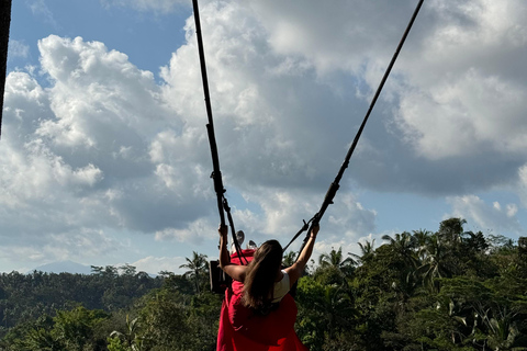 Ubud: Temple, Waterfall, Rice Terrace, Swing & Monkey Forest