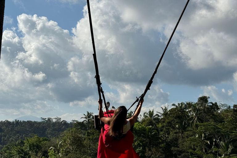 Ubud: Temple, Waterfall, Rice Terrace, Swing & Monkey Forest