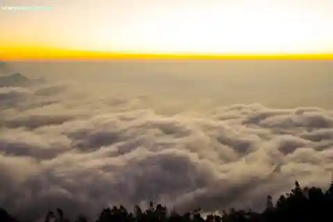 Munnar: Chokramudi Peak Full-Day Trekking Tour
