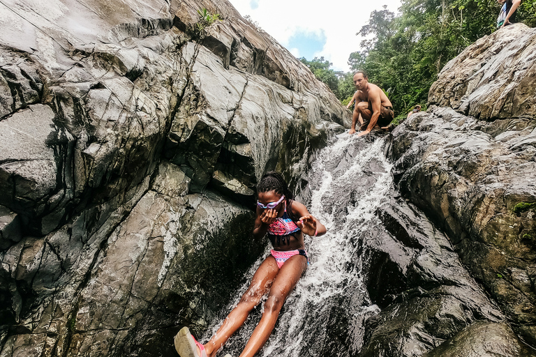 De San Juan: visite de la forêt tropicale et du toboggan aquatique d'El Yunque