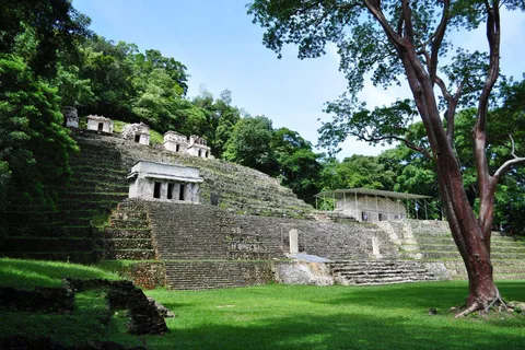 Palenque: Excursión de 2 días a Yaxchilán y Bonampak