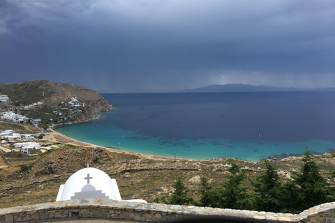 Visite privée : 4 heures de visite de l&#039;île de Mykonos - Comme un local