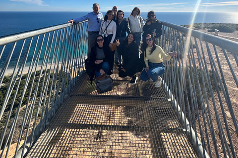 Santa Pola Historical and Landscape and Flamenco with Show and Dinner