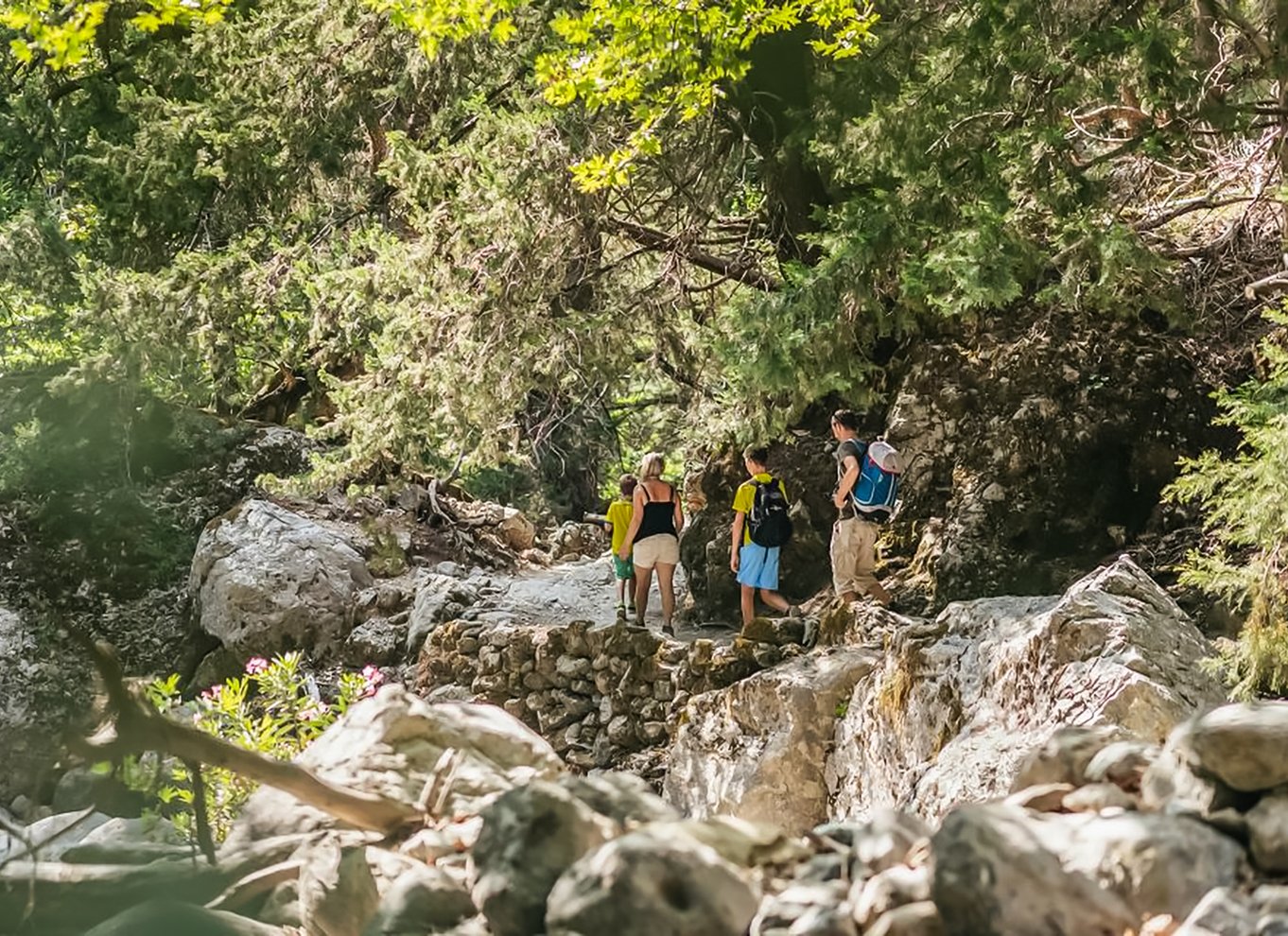 Fra Chania: Heldagsudflugt i Samaria-kløften med guide