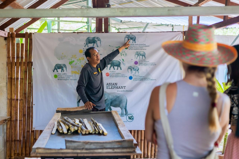 Phuket : Visite du parc naturel des éléphants