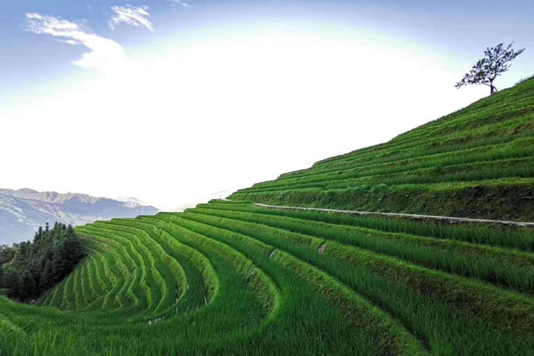 Tour Privado a Medida: Tour Privado de 2 días por las Terrazas de Arroz de Longji