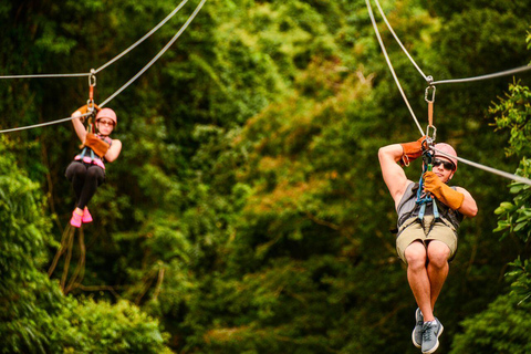 Monkeyland Punta Cana : visite guidée de la jungle naturelle et du safari