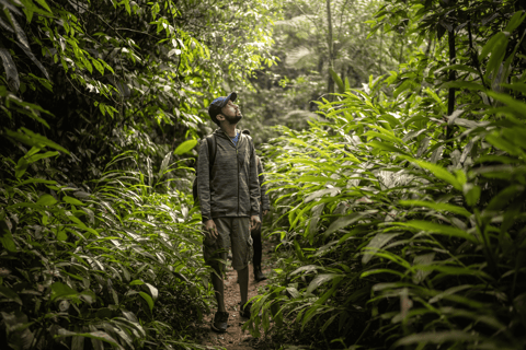 Manu Weekend Jungle Tour: 3-Day Amazon Wildlife Experience