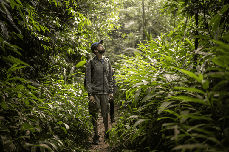 Manu Weekend Jungle Tour: 3-Day Amazon Wildlife Experience