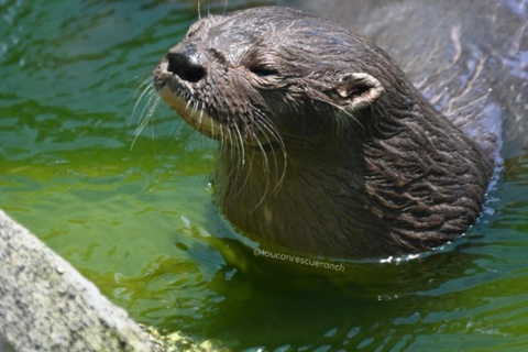 San Jose: Night Guided Wildlife Walk at Wildlife Sanctuary