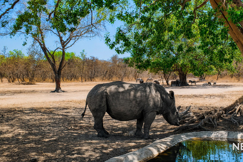 Excursion to Fathala Safari Park from Banjul Fathala Safari Park Excursion from Banjul