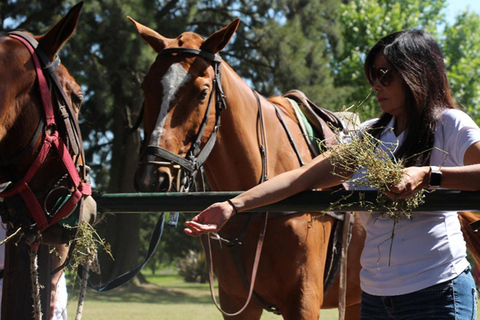From Buenos Aires: Horseback Riding with BBQ