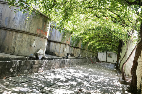 Rondleiding &quot;Parras de la Fuente&quot;, met gids, transfer en tickets