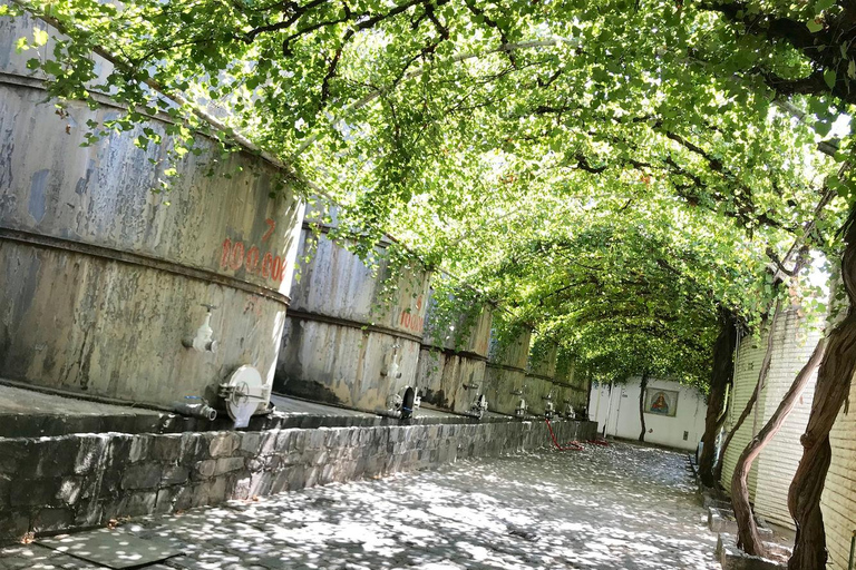 Rondleiding &quot;Parras de la Fuente&quot;, met gids, transfer en tickets